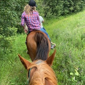 Meet your Posher, Juneau